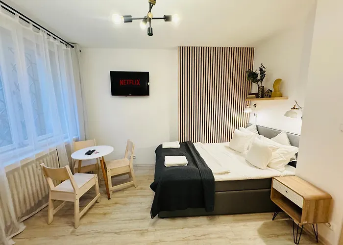 Nicelovely & Prague Apartment Dlouha